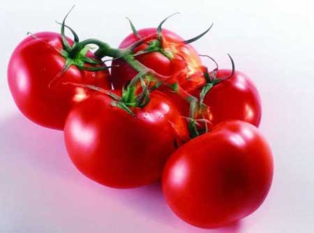 tomato paste