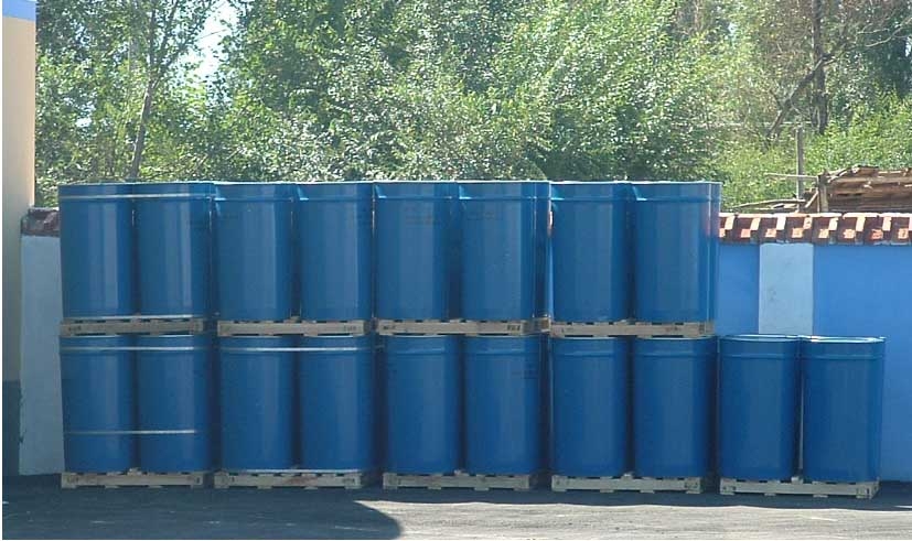 aseptic  tomato paste, new crop