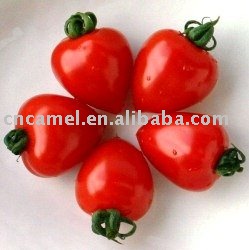 tomato paste in drum/canned 28-30,30-32,36-38 crop2010