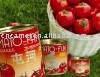 tomato paste