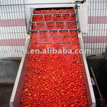 Sell  Tomato   Paste , Small  packing  and  Bulk   packing 