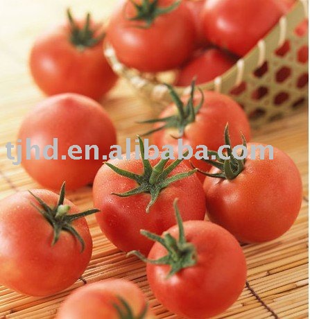tomato paste 28-30brix