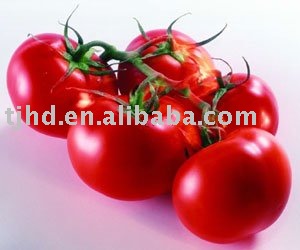 cold break tomato paste 28-30brix