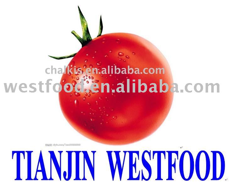 TOMATO PASTE IN DRUM(36-38%;30-32%;28-30%)