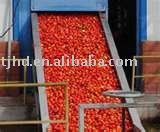 Tomato Paste with drum packaging HACCP ( tomato paste 28-30%,30-32% and 36-38% brix ) cold break