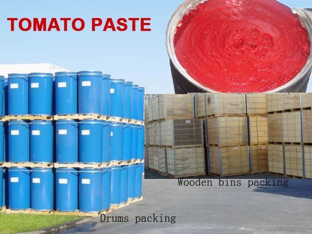 tomato paste Drums