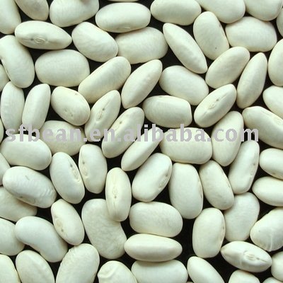 white kidney bean(medium type)