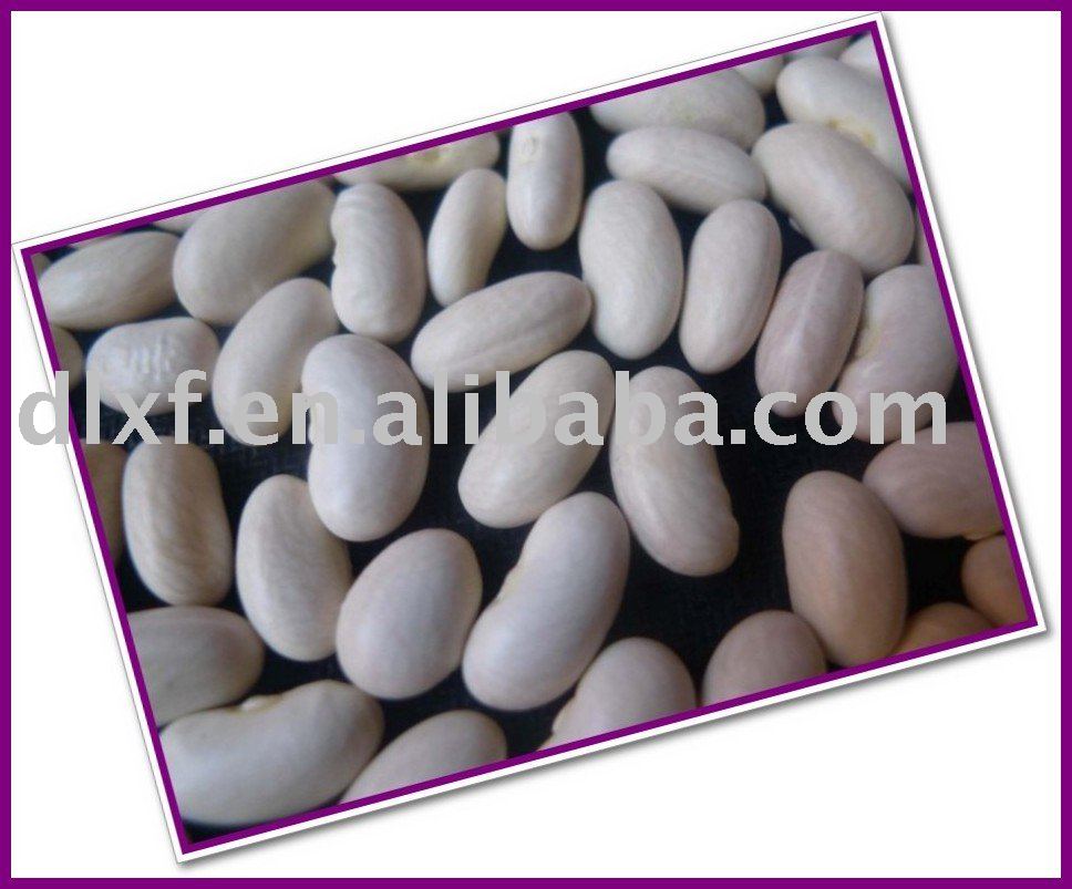CHINA white kidney bean (bashaki ) 2010