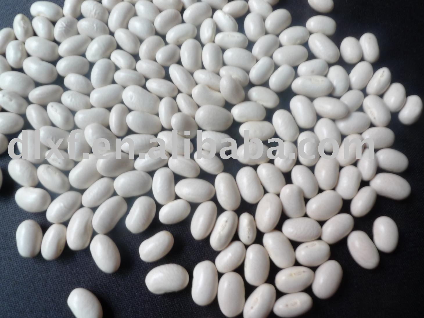 China white  Kidney bean/Japanese  2010