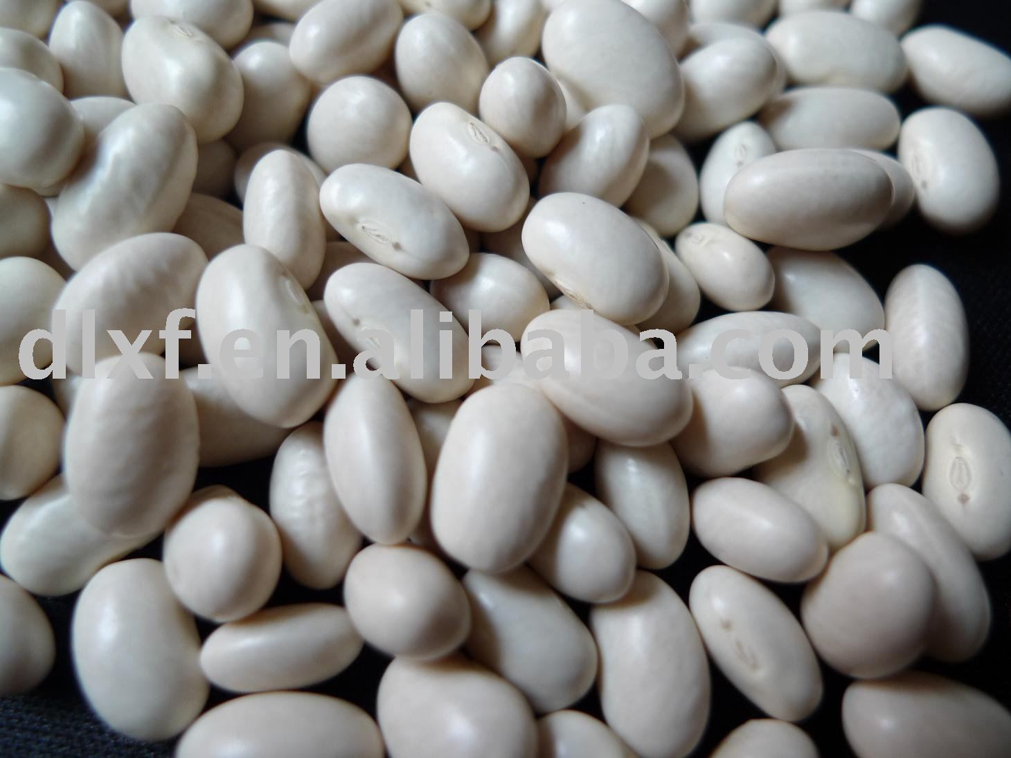 China white  Kidney bean/Japanese  2010 non-gmo or organic