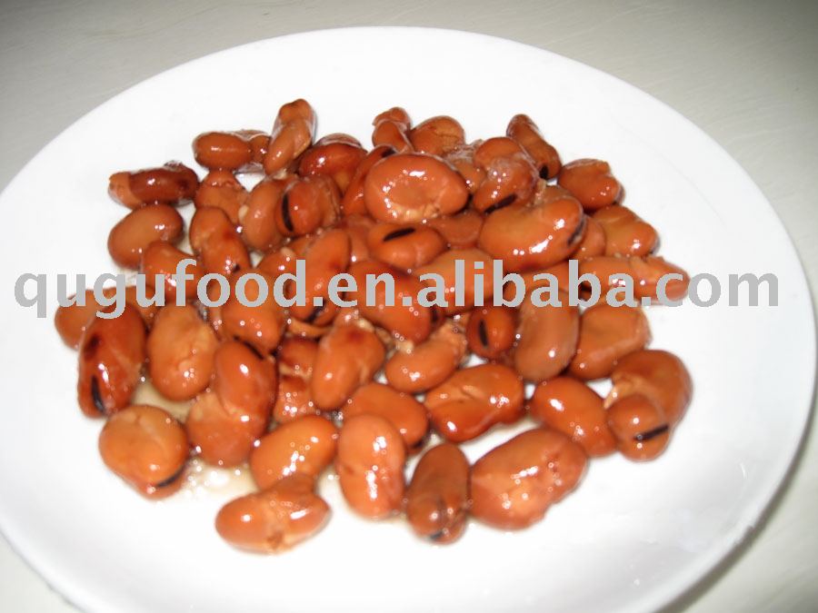 canned broad bean/canned food/foul medames