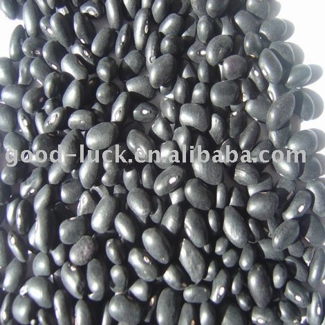 400-450 pcs/100g Black Beans