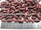 peckled speckled kidney beans