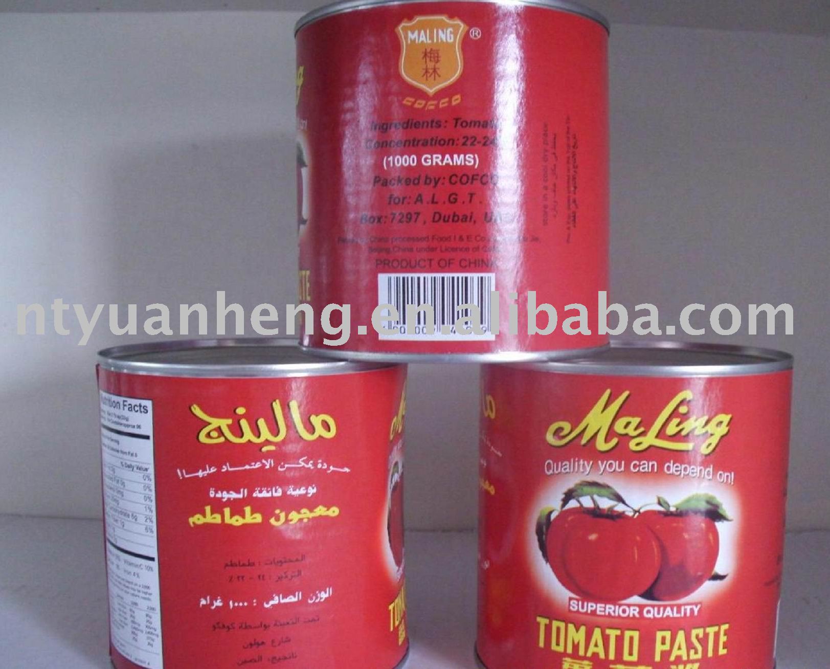  canned   tomato   paste    1000g 