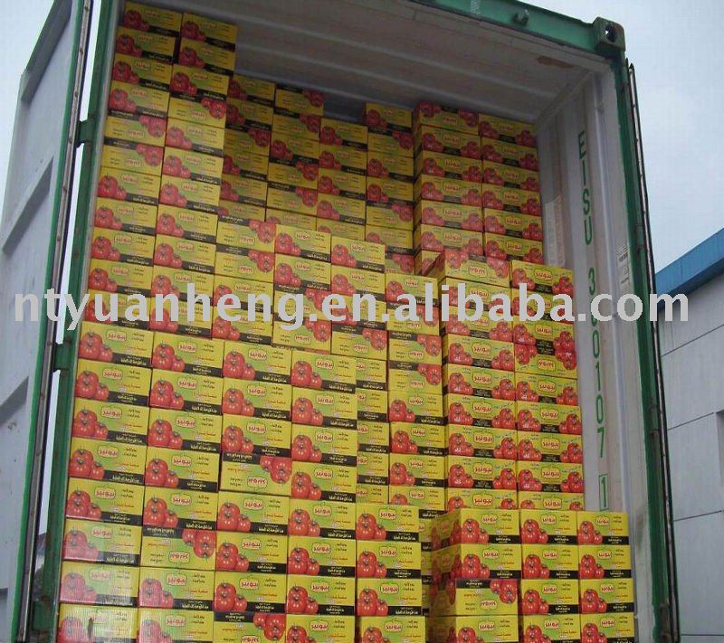 tomato paste  580g