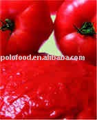 tomato paste in tins