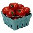 Tomato Paste in Drums