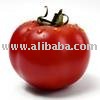 Tomato Paste in drums