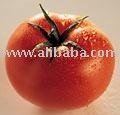 Tomato Paste