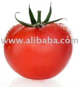 Tomato paste