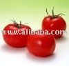 Tomato Paste in Drum