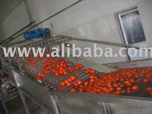 Double and Triple Tomato Paste Concentrate