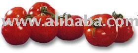  Tomato   Paste  ( organic ,canned,aseptic)