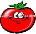 Tomato Paste (28-30% & 36-38%)