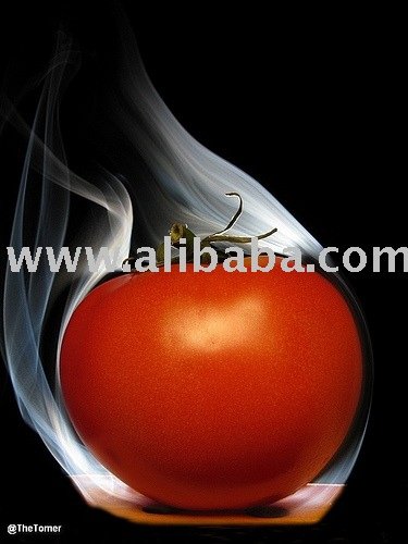 Tomato Paste