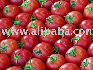 Tomato paste