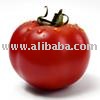 Tomato Paste (Brix 28-30 % & 36-38 % )