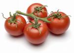 Tomato Paste brix 28-30%