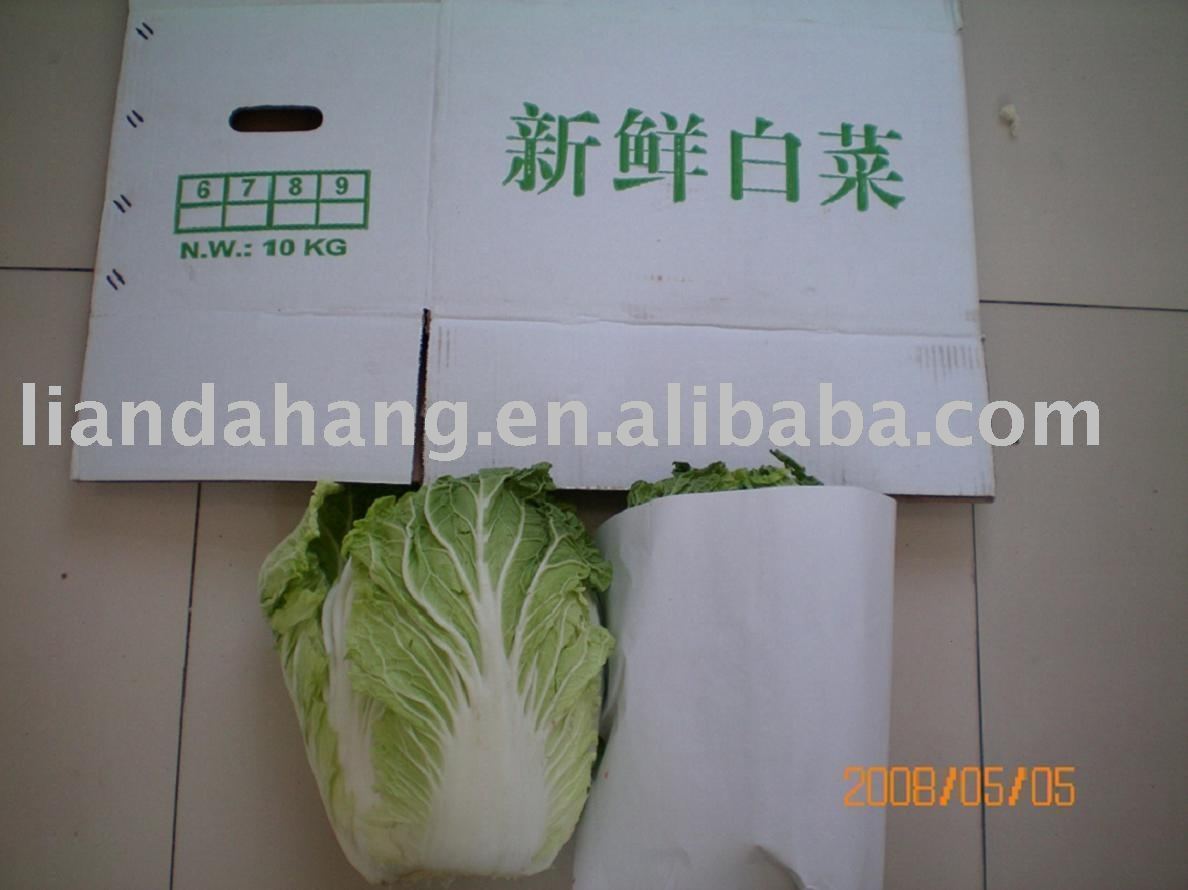 Chinese Fresh Cabbage, Chinese Cabbage