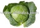 cabbage