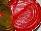 sell tomato paste, tomato powder