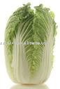 cabbage