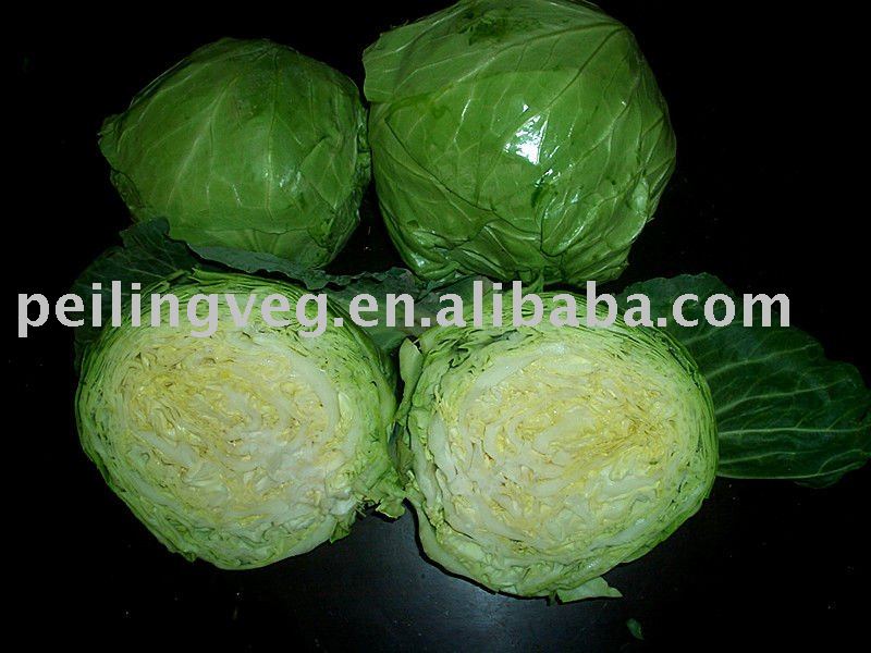 fresh   natural  round  cabbage