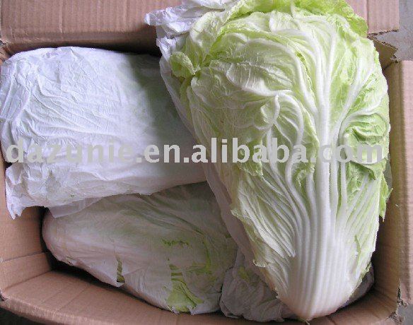 Fresh Chinese Cabbage