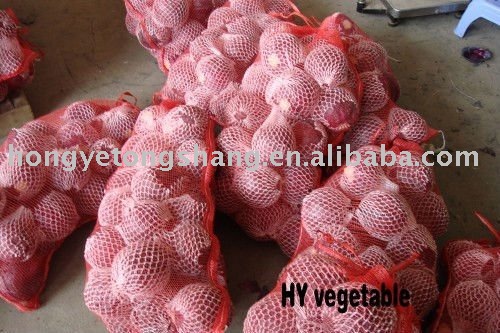 Wholesale Frozen Cabbage