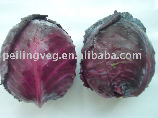 purple fresh cabbage