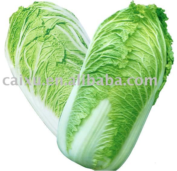 fresh Chinese cabbage on promotion