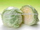 green cabbage