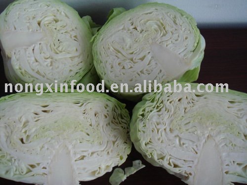 new product  fresh round cabbage