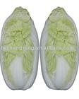 Fresh Chinese Cabbage
