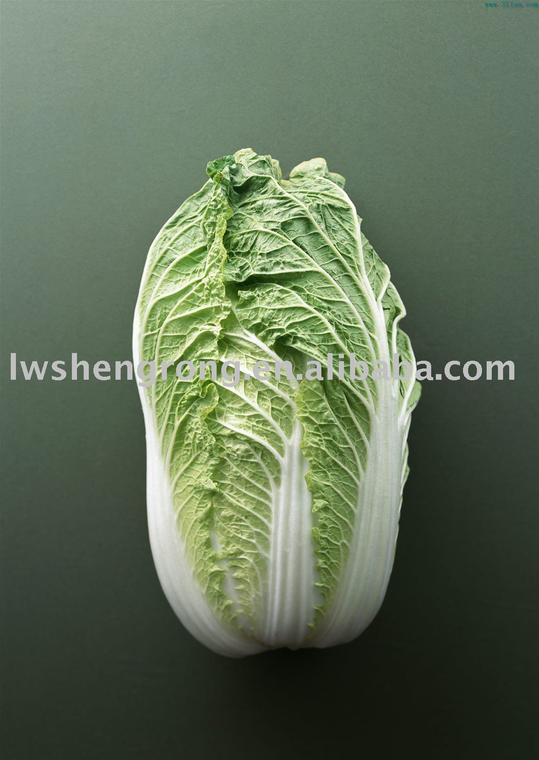 Cabbage