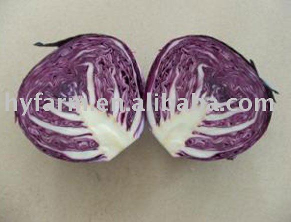 purple cabbage