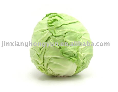 cabbage