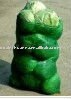 fresh cabbage