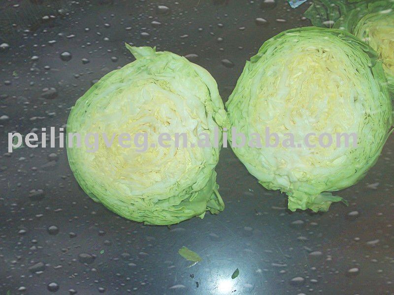 2011  fresh   green round  cabbage