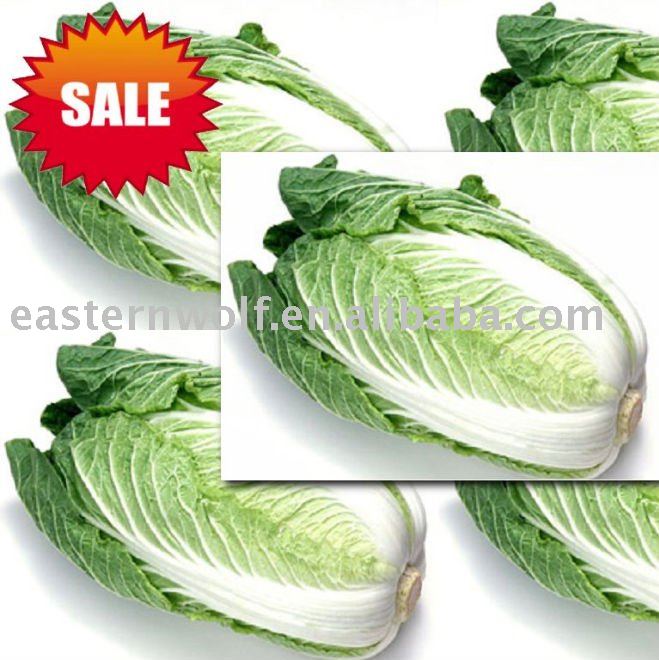China Fresh Cabbage in Mesh Bag Package